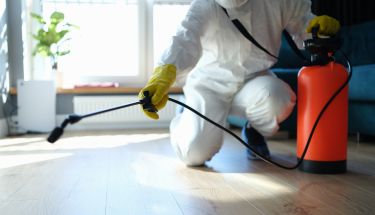 ants-control-south-lake-tahoe-ca